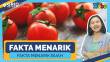 Fakta Menarik Tomat, Buah atau Sayur? - Kompilasi Video